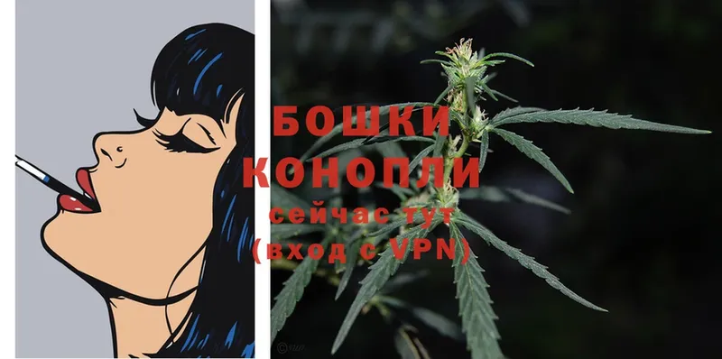 Марихуана White Widow  кракен зеркало  Белая Холуница 